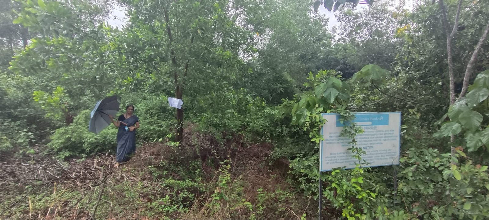 Plot for Sale in Kasargod
