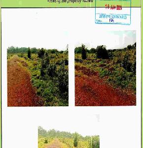 Individual House for Sale in Ernad, Kizhuparambu, Kizhuparamba