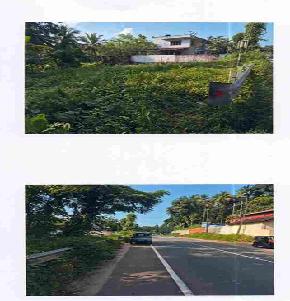 Plot for Sale in Mundur, Palakkad