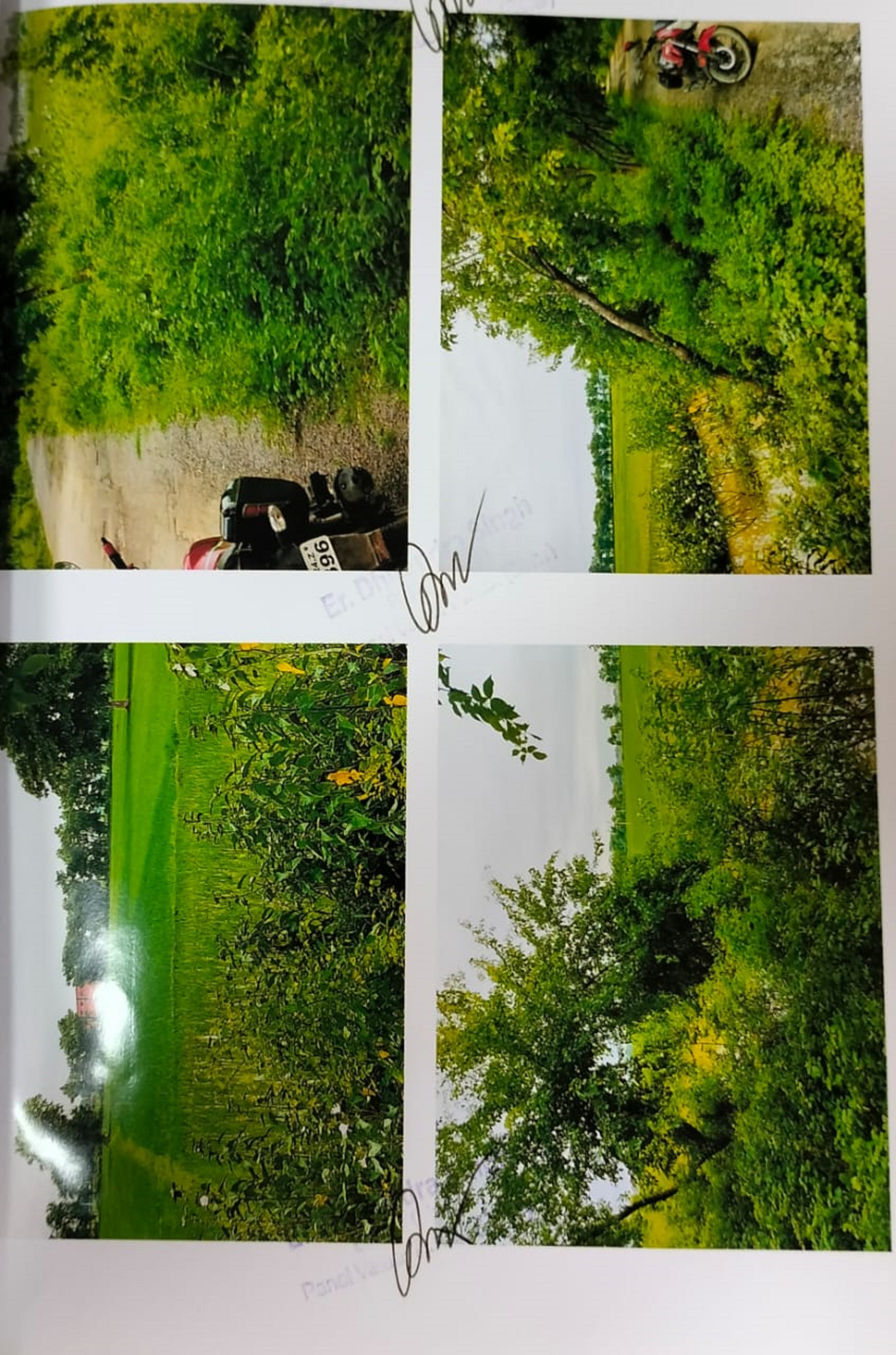 Plot for Sale in Arrah