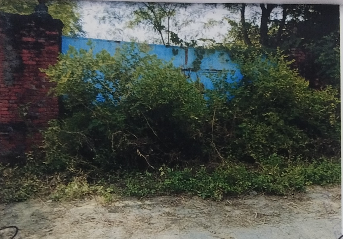 Plot for Sale in Arrah