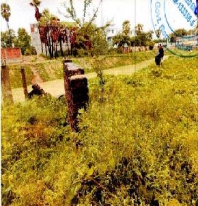 Plot for Sale in Chaudhary Nagar, Dist-Aurangabad, Bihar-824101, Aurangabad