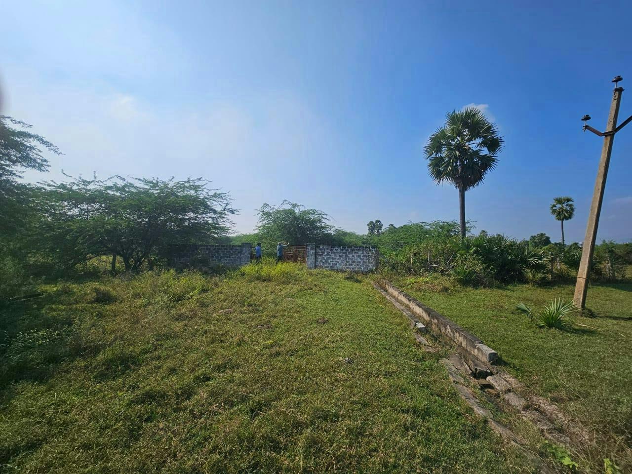OPEN LAND for Sale in Pothuru, Guntur