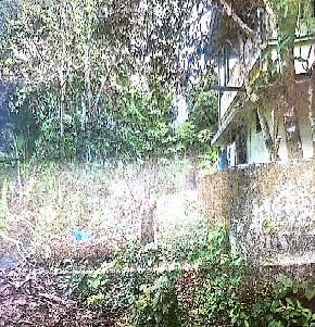 Plot for Sale in Kedamangalam