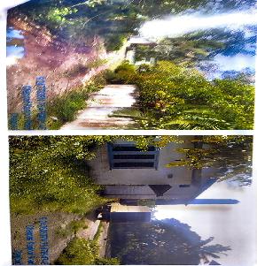 Industrial Plot for Sale in Cheppad