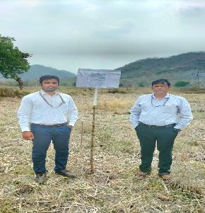 Plot for Sale in Bhawanipatna