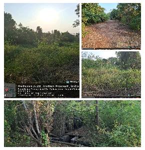 Plot for Sale in Gudivada