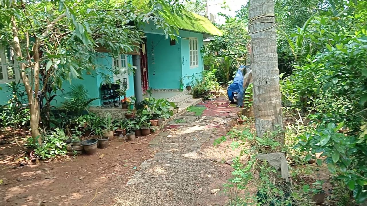Individual House for Sale in Kochi