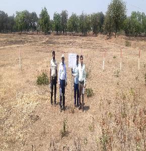 Plot for Sale in Sindagi, Sindgi