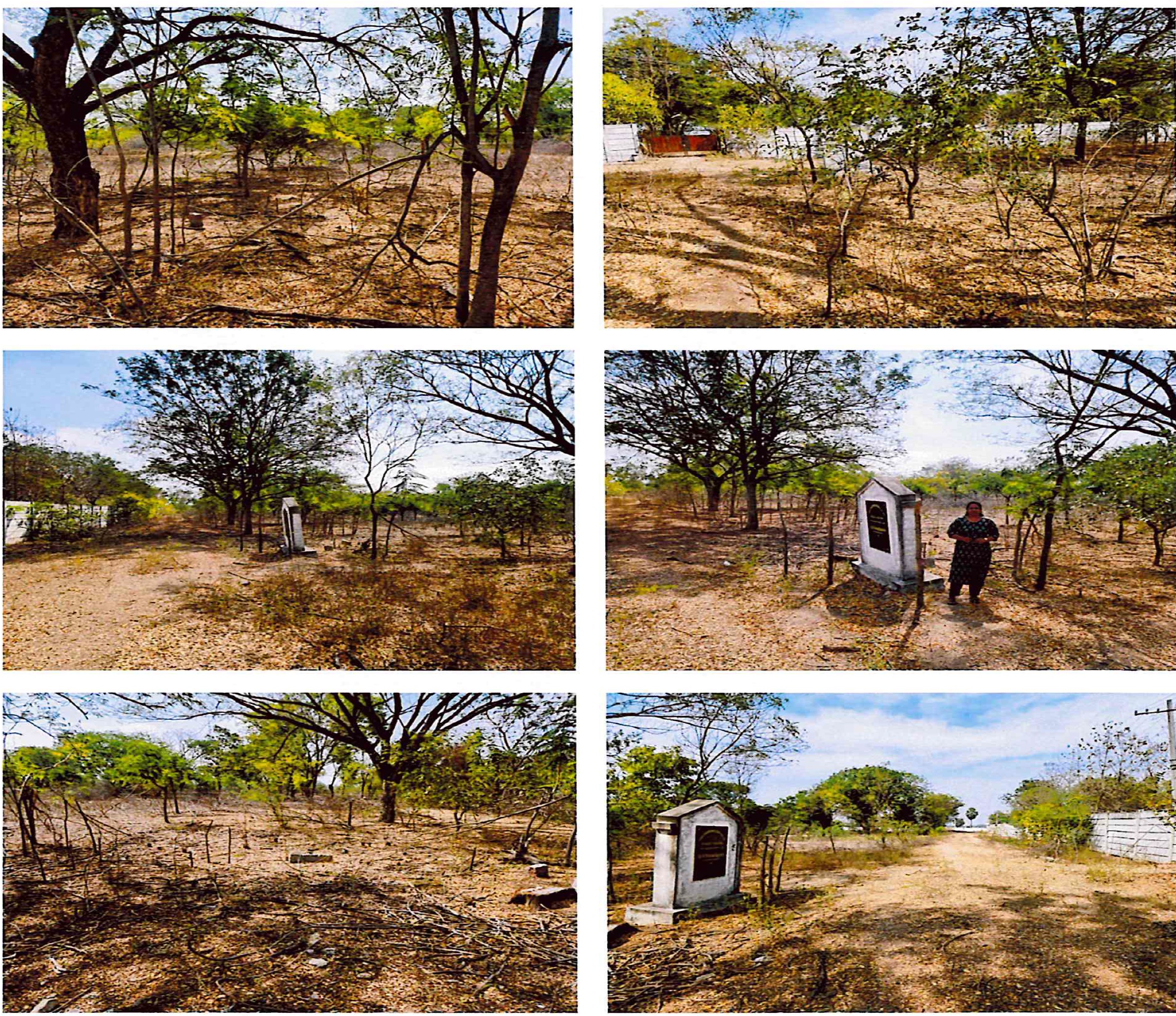 Plot for Sale in PANAGAL, Nalgonda