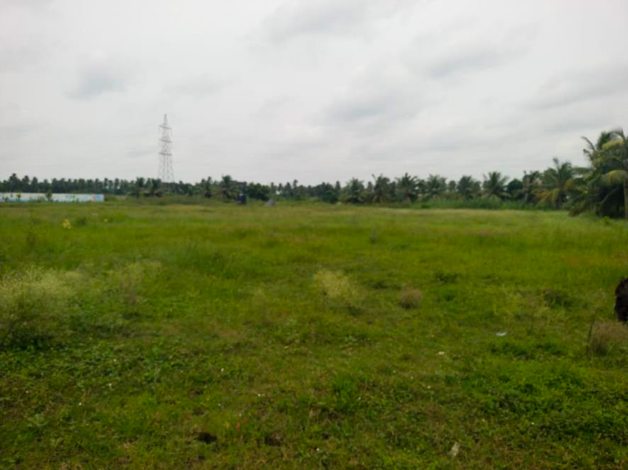 Individual House for Sale in Eluru