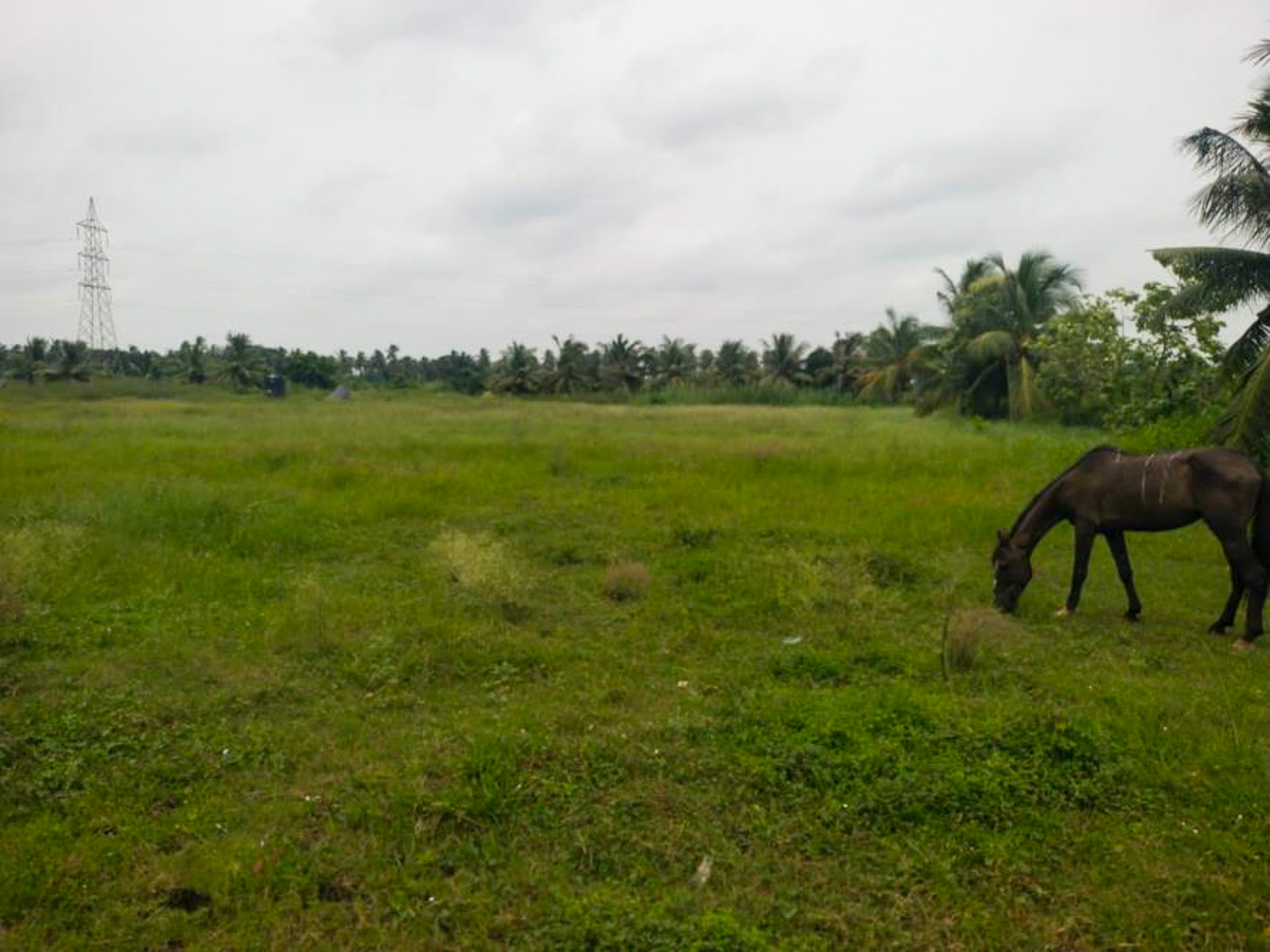 Individual House for Sale in Eluru