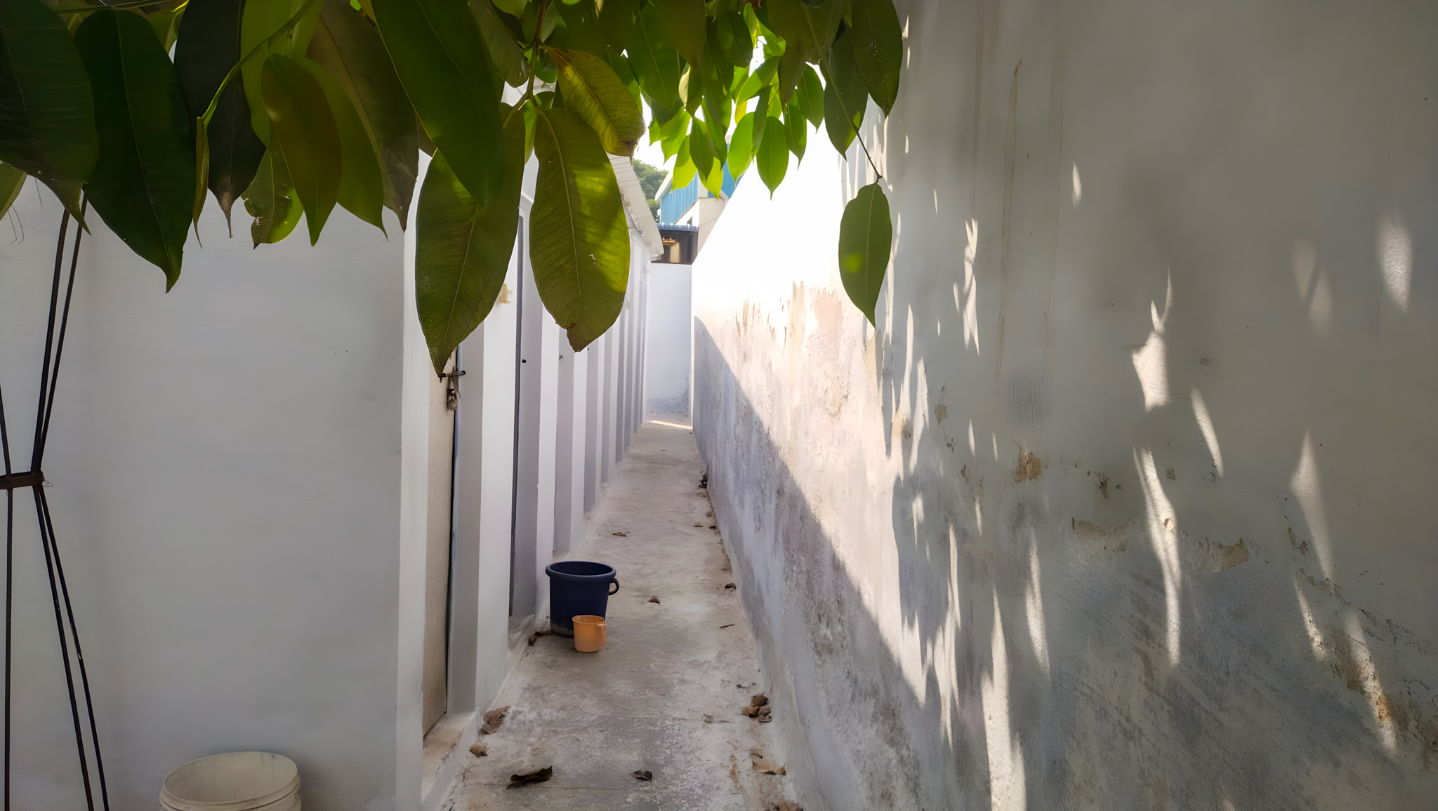 Office for Sale in ROYAL FUNCTION HALL, Kakalapalli gram polam, Rudrampeta Gram Panchayat limit, Ananthapur, Ananthapuramu
