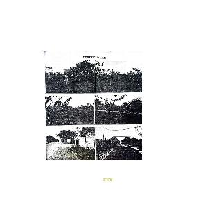 LAND for Sale in KOLLUR ALAIR MANDAL, Nalgonda