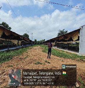 POULTRY SHED for Sale in MANAJIPET VILLAGE GHANPUR MANDAL WANAPARTHY DISTRICT, Wanaparthy