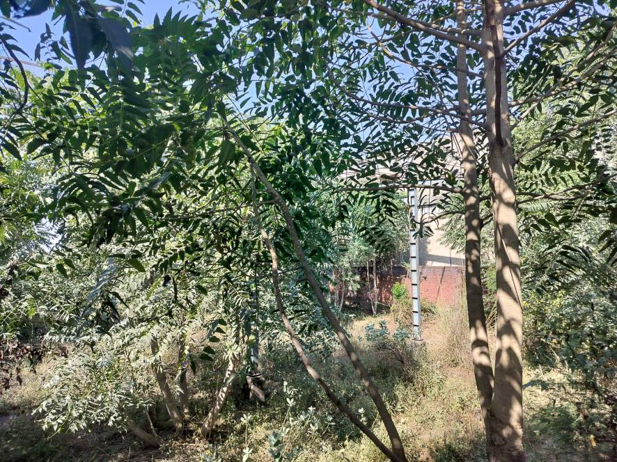 Industrial Plot with Factory Building for Sale in Jaipur