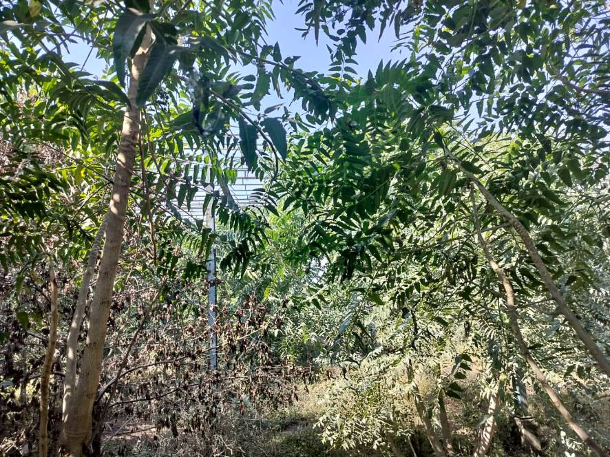 Industrial Plot with Factory Building for Sale in Jaipur