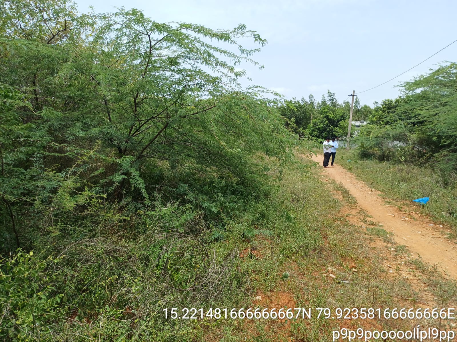 Plot for Sale in Kandukur