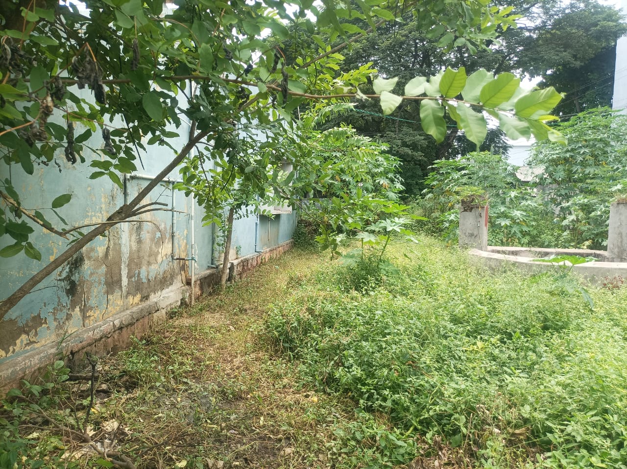 Individual House for Sale in Salem