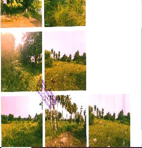 Other for Sale in Bhimavaram
