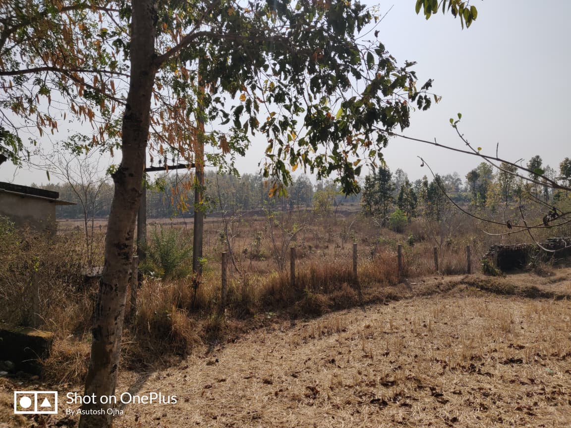 Plot for Sale in Sanjeeb Kumar Behera, Palalahada