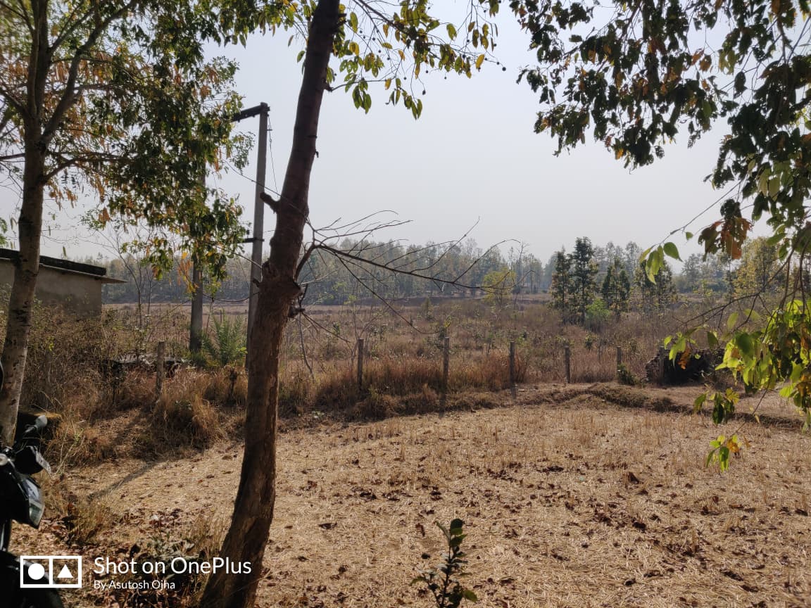 Plot for Sale in Sanjeeb Kumar Behera, Palalahada