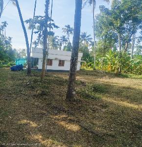 Plot for Sale in Parappukkara