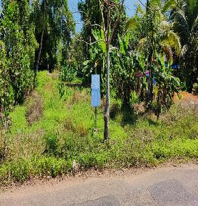 Plot for Sale in Vaikom