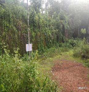 Plot for Sale in Edathala