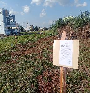 Plot for Sale in Pernamitta Village, Ongole