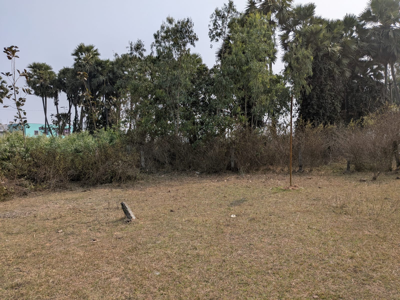 Plot for Sale in NA, Narayasayyapeta Grama Panchayati Limits, Chodavaram Mandal, Chodavaram
