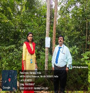 Plot for Sale in Karakulam