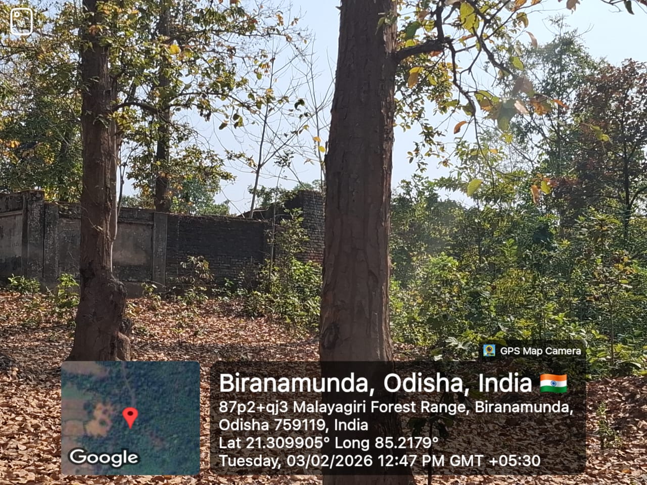 Plot for Sale in ANGUL, Palalahada