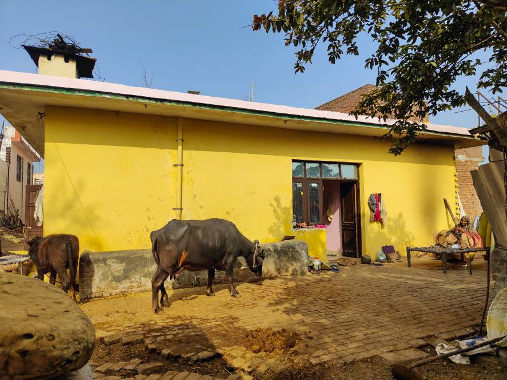 Individual House for Sale in VILL SANERH PO BHATTIAN tehsil nalagarh, Baddi Industrial Area