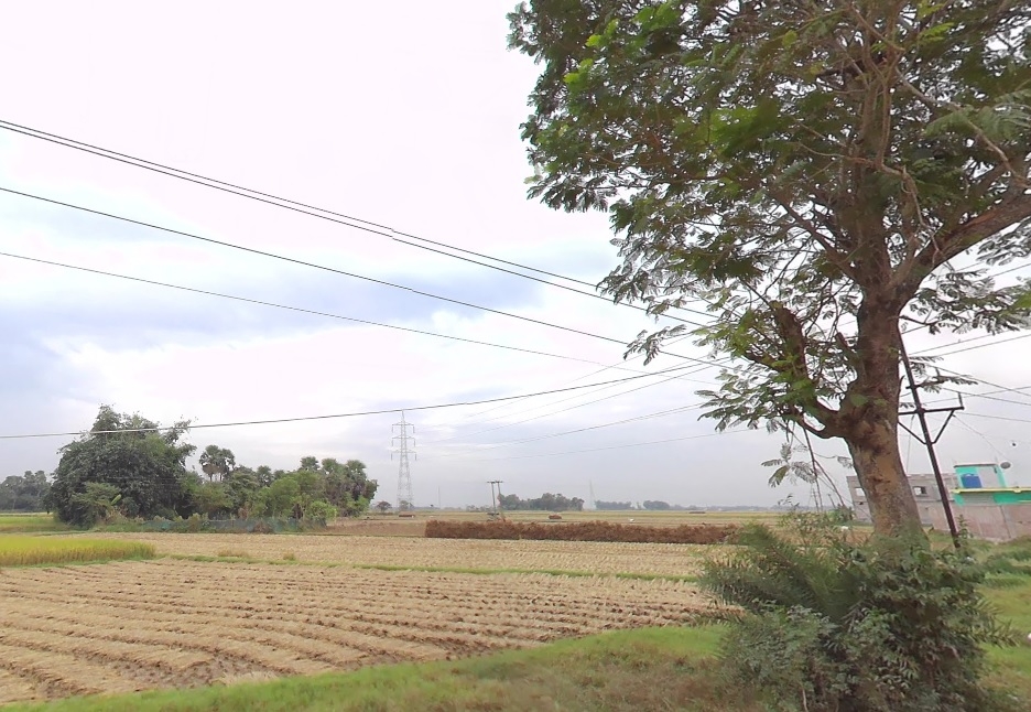 Individual House for Sale in Berhampore