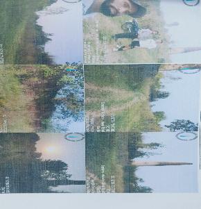 Land for Sale in Nurpur