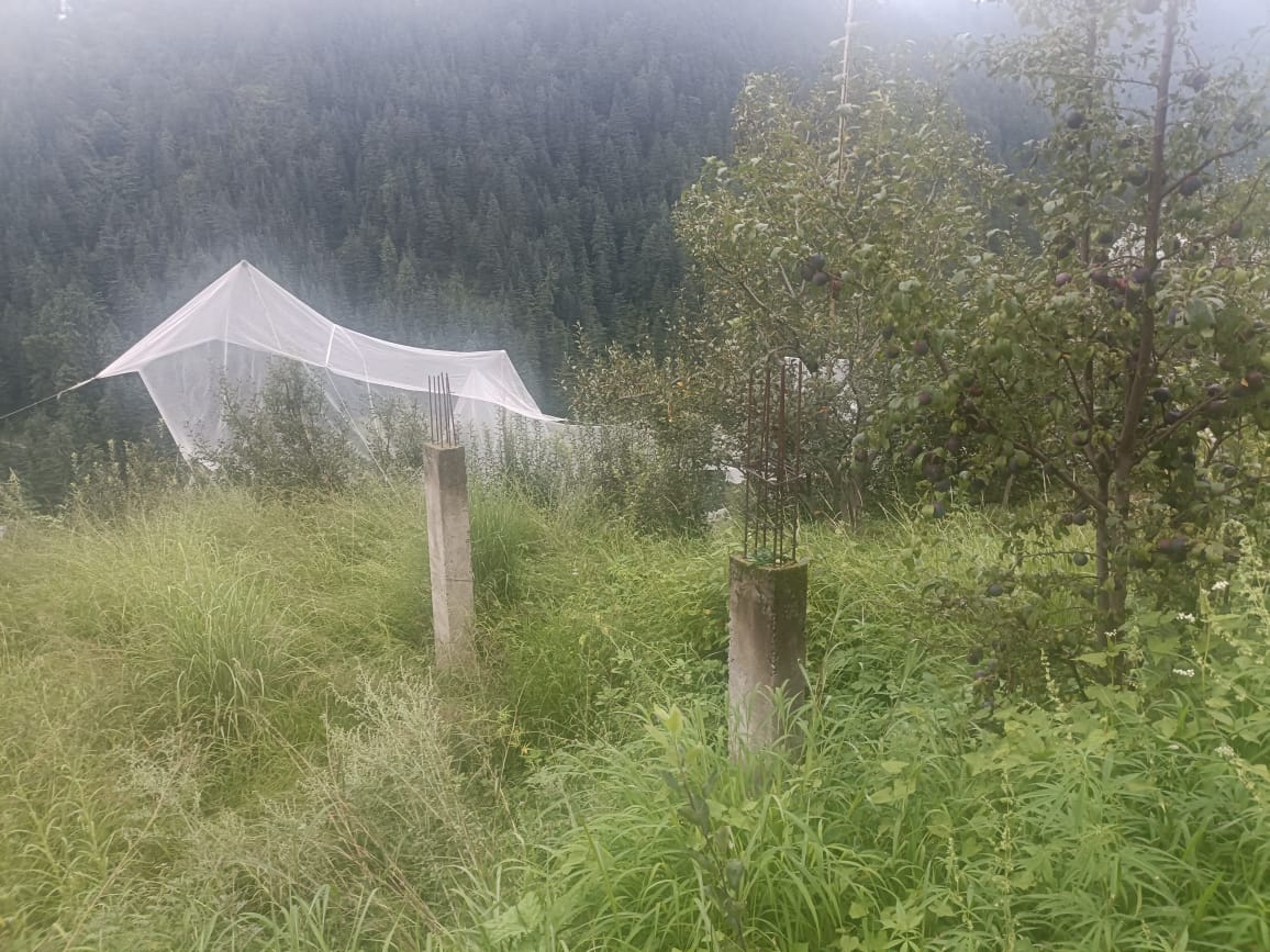 Plot for Sale in VILLAGE SEHDOLI, Kotkhai
