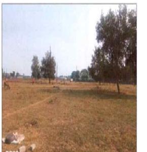 1 BHK Plot for Sale in Bhopal