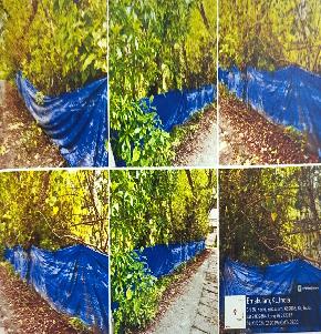 LAND ONLY for Sale in Kochi