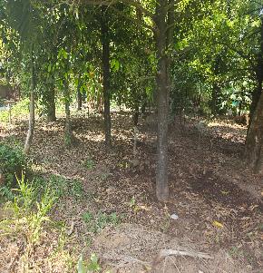 LAND ONLY for Sale in Chowwara