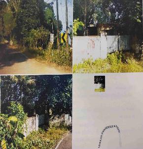 Others for Sale in KARAVALOOR VILLAGE, Punalur