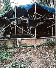Plot for Sale in NAIHATI, Dogachhia