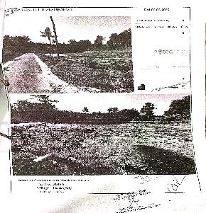 Plot for Sale in Elampalloor