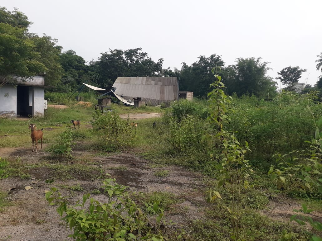 Industrial Plot for Sale in Ghatshila