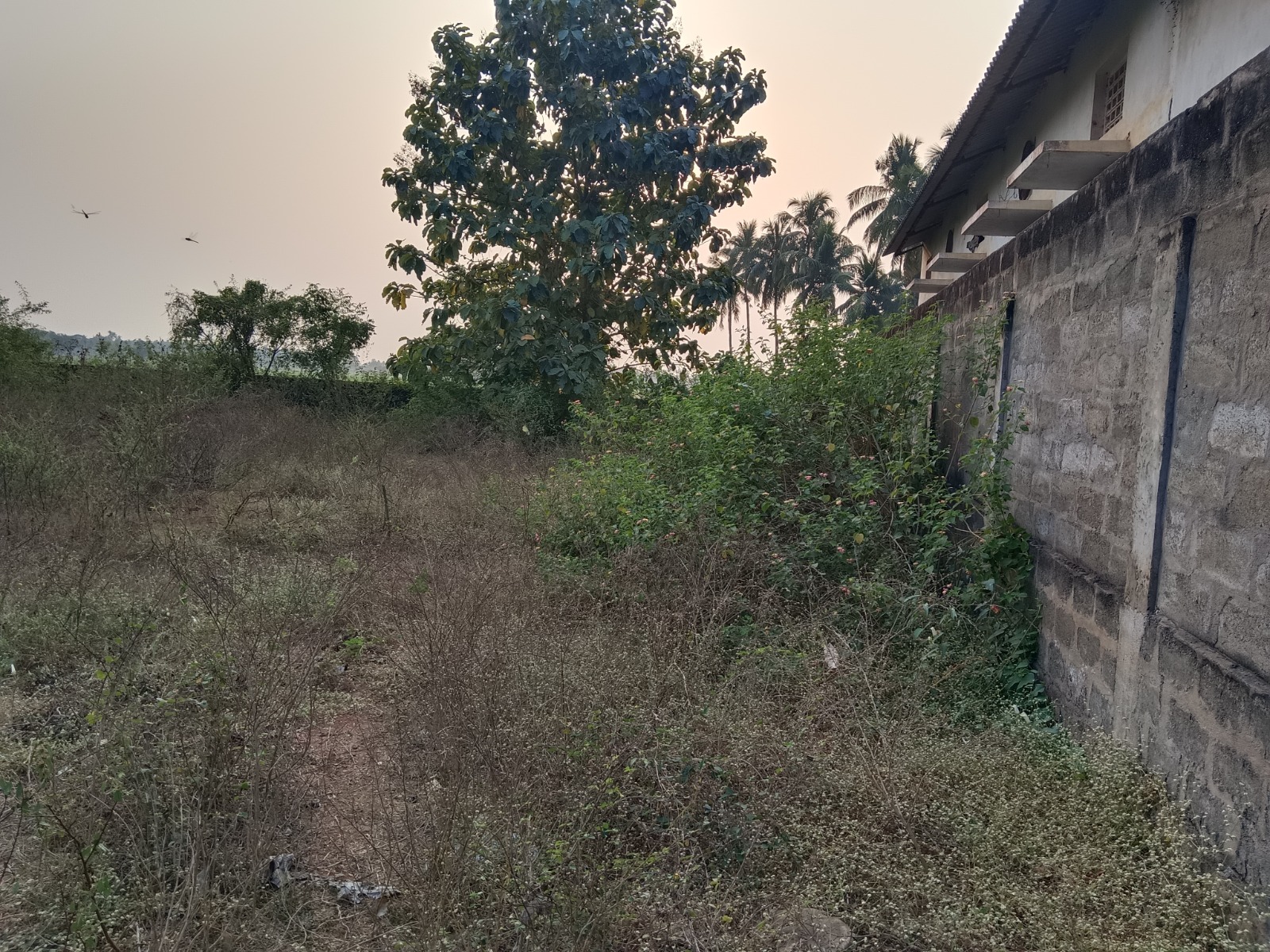 Industrial Shed for Sale in ANAPARTHY VILLAGE, Anaparthi