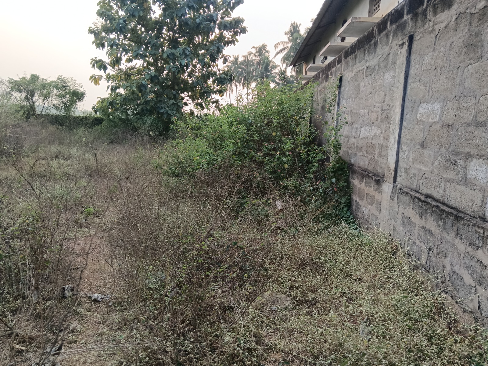 Industrial Shed for Sale in ANAPARTHY VILLAGE, Anaparthi