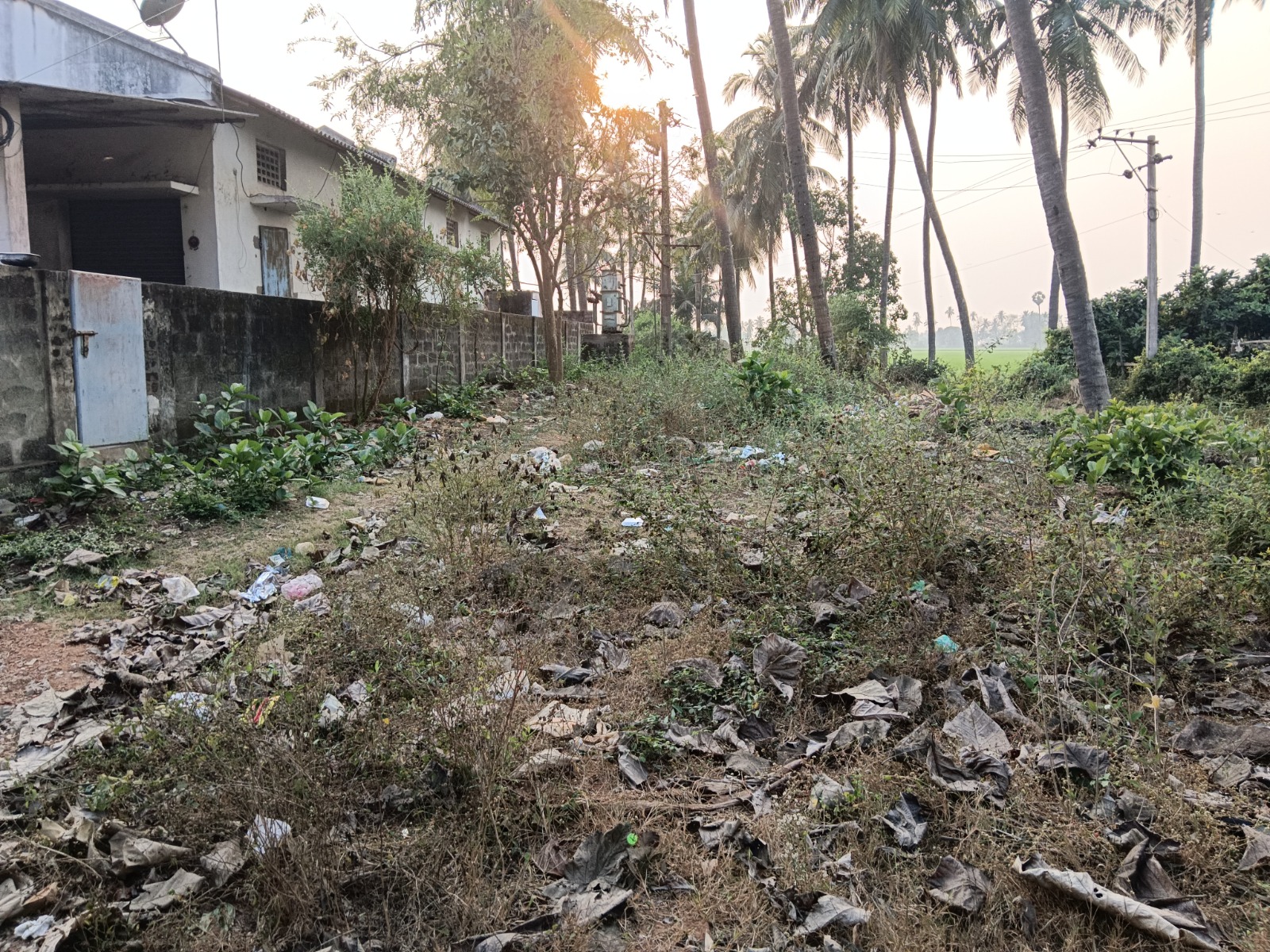 Industrial Shed for Sale in ANAPARTHY VILLAGE, Anaparthi
