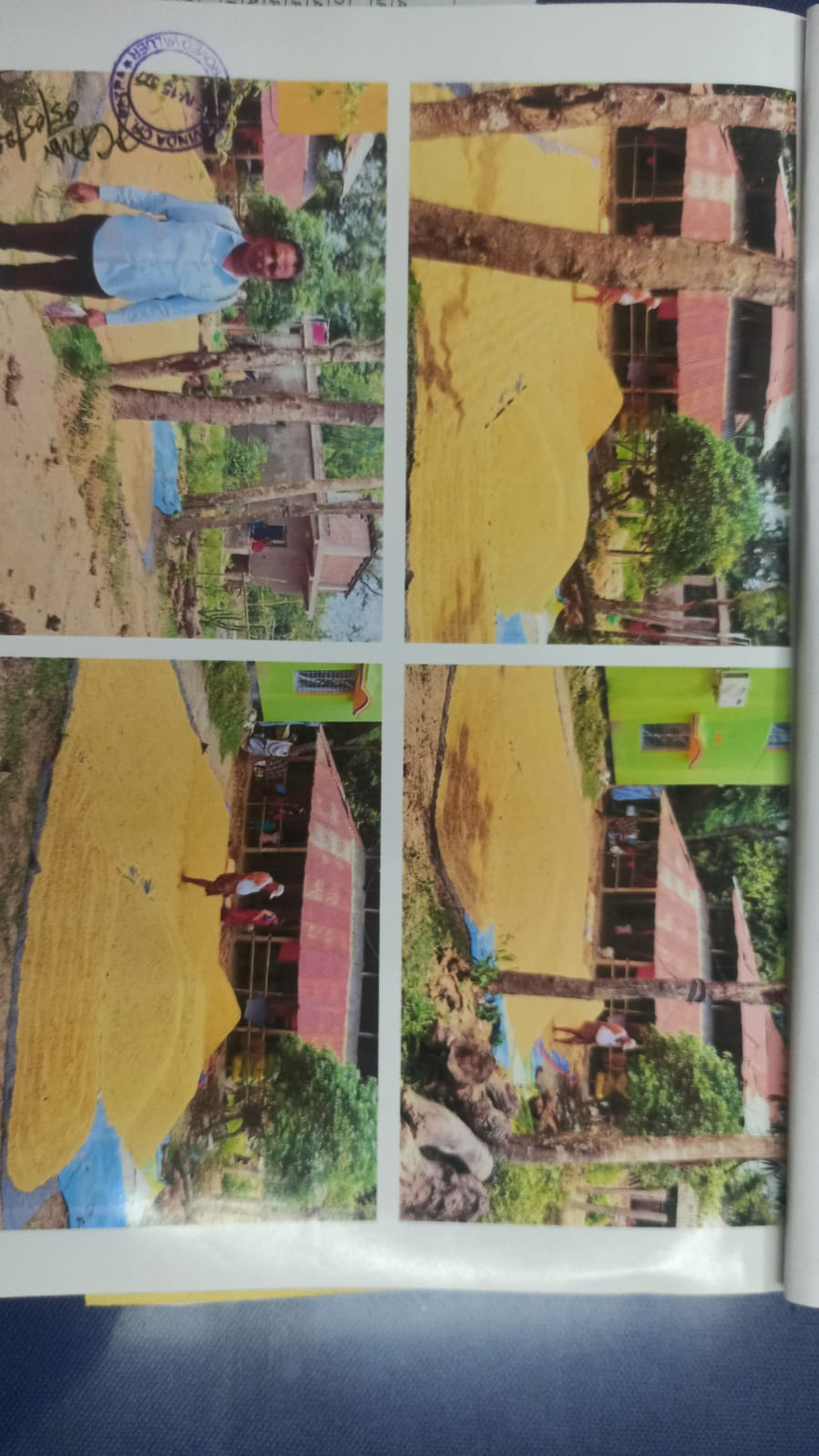 Individual House for Sale in Jaleswar, Baleswar
