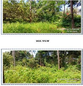 LAND for Sale in Kalliassery at Morazha Village, Morazha Amsom Desom, Taliparamba Taluk, Kannur Distric, Anthoor
