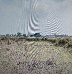 Plot for Sale in Baleswar